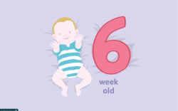 Your 7-Week-Old Baby: Development & Milestones