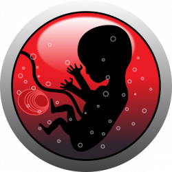 Human Embryo Clip Art at Clker.com - vector clip art online, royalty ...