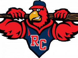 2018 12U Ronkonkoma Cardinals Tryouts | Sachem, NY Patch