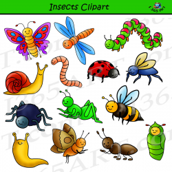 Insect Clipart Set - Commercial-Use Graphics - Clipart 4 School