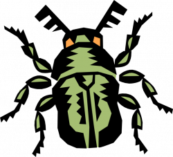 Egyptian Scarab Beetle - Vector Image