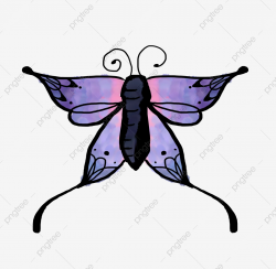 Insect Flying Animal Beautiful Butterfly Purple, Pattern ...