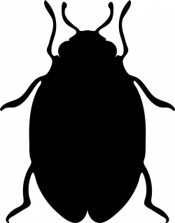 Insect Bed Bug Shape Svg Png Icon Free Download (#73876 ...