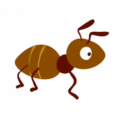 Ant Cartoon - ant 744*804 transprent Png Free Download - Pollinator ...
