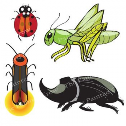 Insect Clip Art - Bug Clipart -24 Piece Set - Color and ...