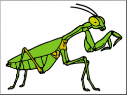 Clip Art: Insects: Praying Mantis Color I abcteach.com ...