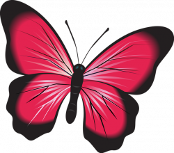 Free photo Butterfly Natural Bug Nature Insect Clip Art Pink - Max Pixel