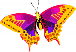 OnlineLabels Clip Art - Abstract Colorful Butterfly