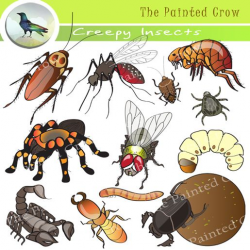 Creepy Arachnid and Insect Clip Art - Bug Illustrations - 24 ...