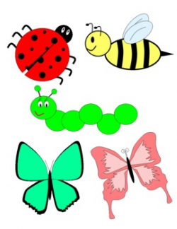 Cute Insect Clipart