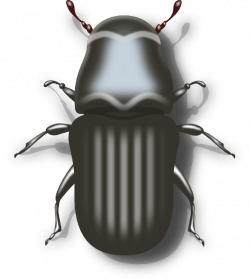 Bug Clip Art at Clker.com - vector clip art online, royalty free ...