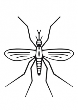 Free Easy Insect Cliparts, Download Free Clip Art, Free Clip ...