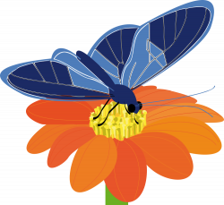OnlineLabels Clip Art - Butterfly On A Flower