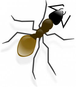 Hymenopterous insect clipart - Clipground
