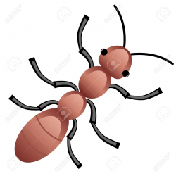 Insects Clipart | Free download best Insects Clipart on ...
