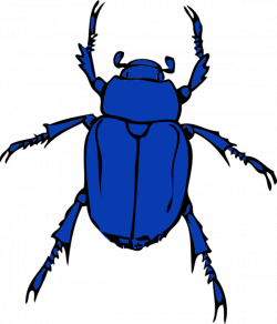 Beetle Clipart | Free download best Beetle Clipart on ClipArtMag.com