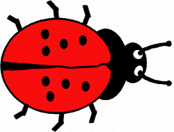 Beetles Clipart Minibeast#3066637