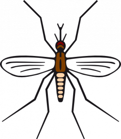 Mosquito In Brown Color Clip Art at Clker.com - vector clip art ...