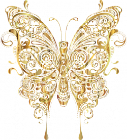 Butterfly Insect Moth Gold Clip art - GOLD LINE 696*772 transprent ...