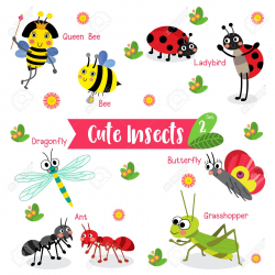 Insects Clipart With Names