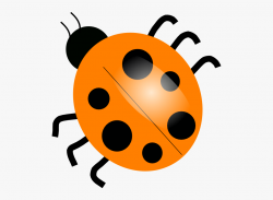 Insects Clipart Orange Bug - Ladybug Clip Art #61664 - Free ...