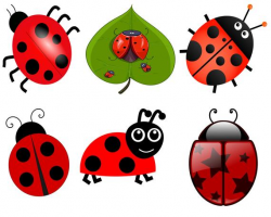 Ladybug Clip Art, Insect Clip art, Lady Bugs Clip Art, Red Ladybugs PNG, 6  bugs Clip Art, Instant download Clipart,