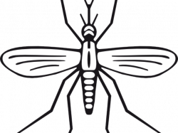 Mosquito Clipart - Free Clipart on Dumielauxepices.net