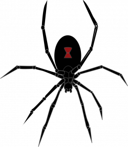 OnlineLabels Clip Art - Black Widow Spider