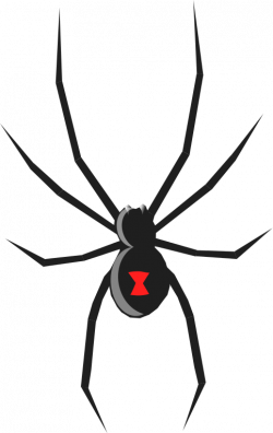 Spider free to use clip art - Clipartix