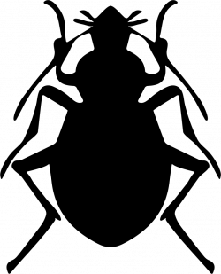 Stink Bug Insect Shape Svg Png Icon Free Download (#73768 ...