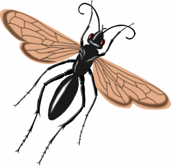 OnlineLabels Clip Art - Tarantual Hawk Wasp