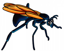 United States Clip Art by Phillip Martin, New Mexico State Insect ...