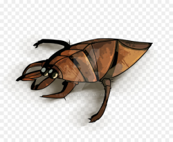 Insect Giant water bugs Drawing Vector graphics - water beetle