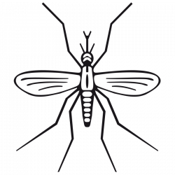 Mosquito clip art 2 clipartbarn - ClipartPost