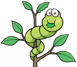 Worm Insect Butterfly Cartoon - Cartoon caterpillar 1024*896 ...