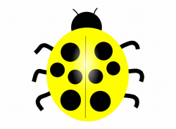 Yellow Ladybug Clip Art - Clipart Of Different Color ...