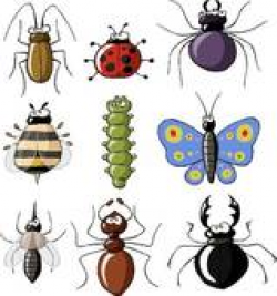 Insects Clip Art - Royalty Free - GoGraph