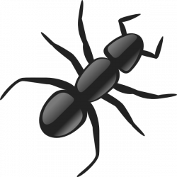 An Ant Clip Art at Clker.com - vector clip art online, royalty free ...