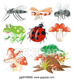 Vector Stock - Different types of insects. Clipart ...