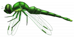 Dragonfly Green PNG Clip Art - Best WEB Clipart