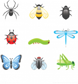 Beetle Cartoon Clip art - Insects 951*1024 transprent Png Free ...