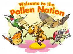 Join the #PollenNation today! | Bugs | Pinterest | Gardens