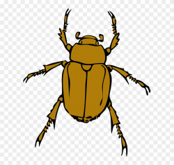 Download Free png Bugs, Bug, Insect, Animal, Beetle, Insects ...