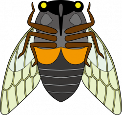 Honey bee True bugs Clip art - bee 633*596 transprent Png Free ...