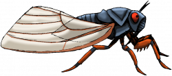 Cicada by ThunderousAbsurdity on DeviantArt