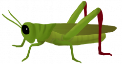 Grasshopper PNG Clipart - peoplepng.com