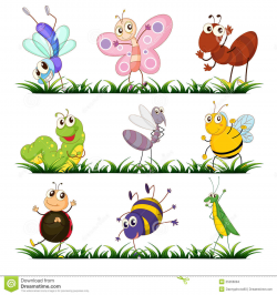92+ Insects Clipart | ClipartLook