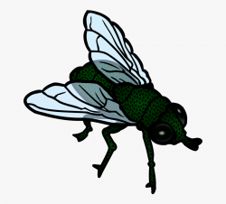 Free To Use & Public Domain Insects Clip Art - Fly Clipart ...