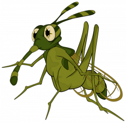 Terrible mosquito.png | Bug insect and Clip art