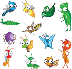 Insect Cartoon Drawing Clip art - Insects 1000*956 transprent Png ...